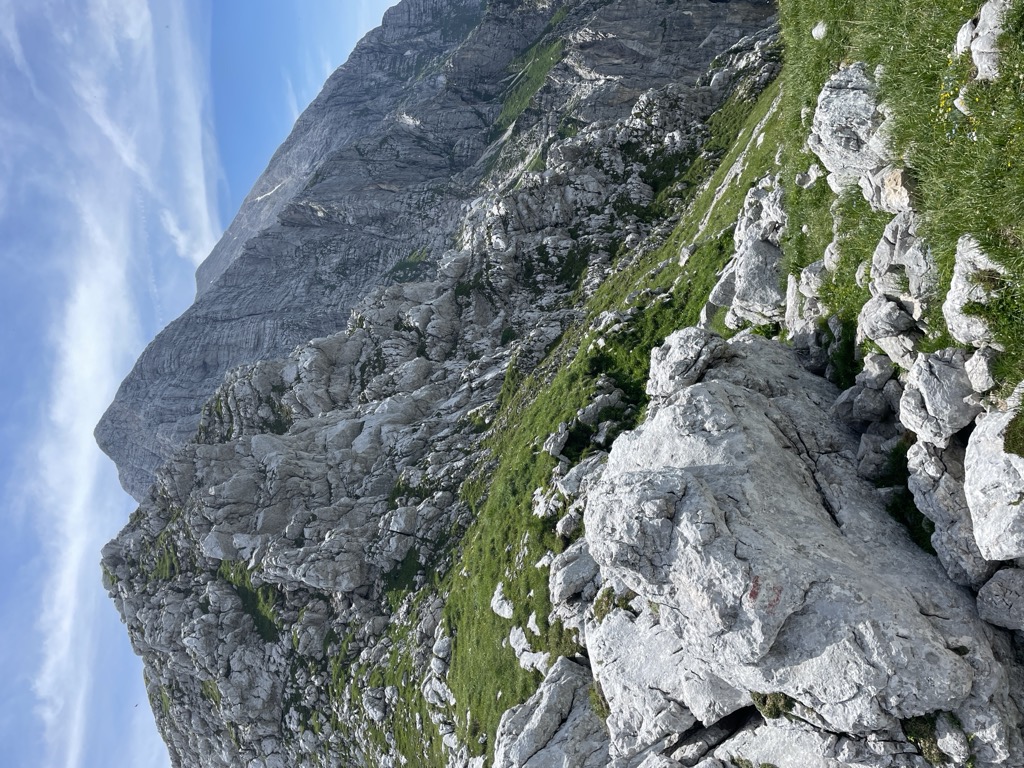 Sella Grubia