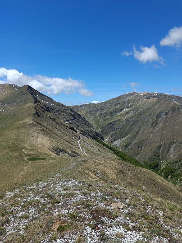 Colle Bassete