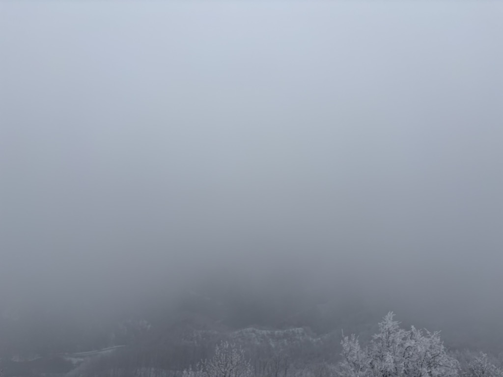 Ptičji vrh