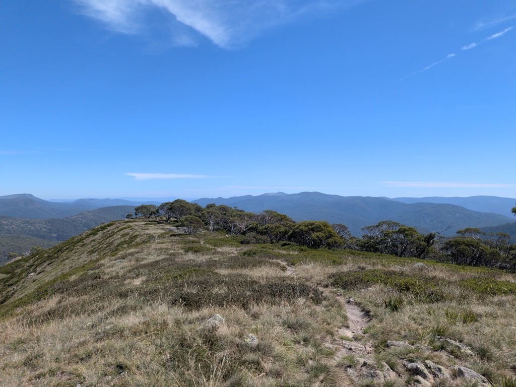 Mount Speculation