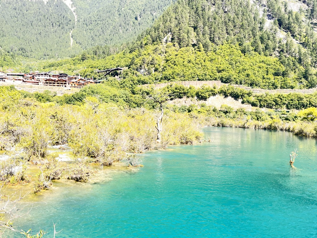Shù Zhèng Qún Hǎi