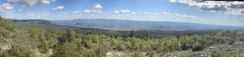 Le Cluyer