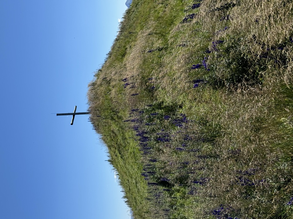 Kugelhorn