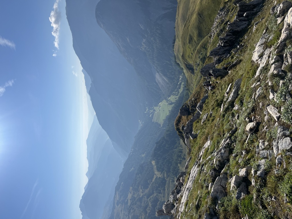 Stierkarkopf