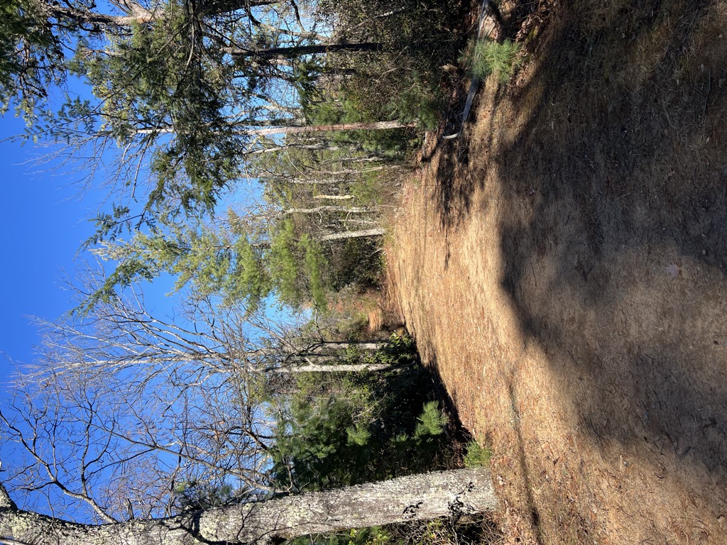 Sandy Gap