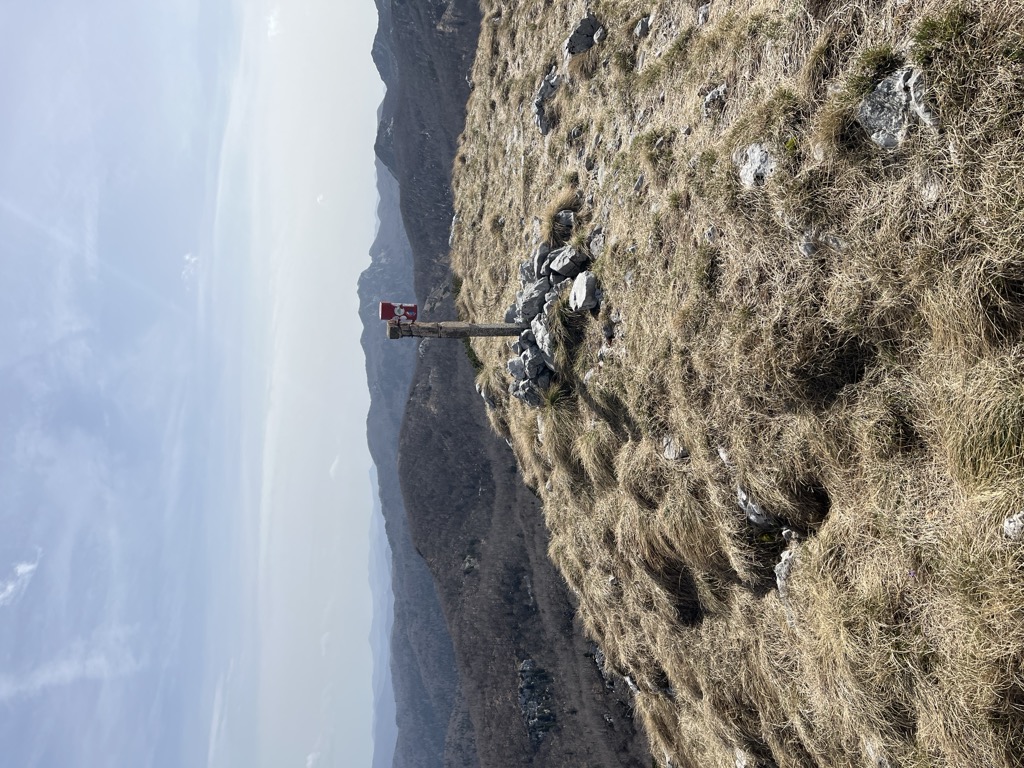 Planina