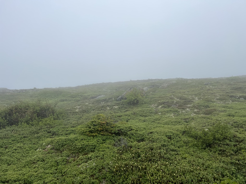 Mount Eisenhower