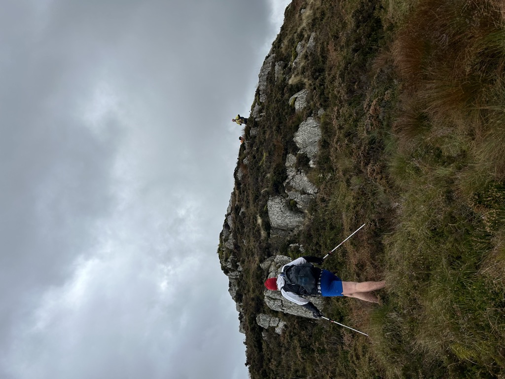 Cerrig Cochion