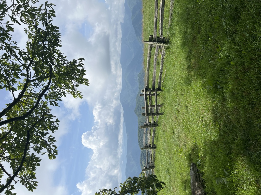 Hemphill Bald