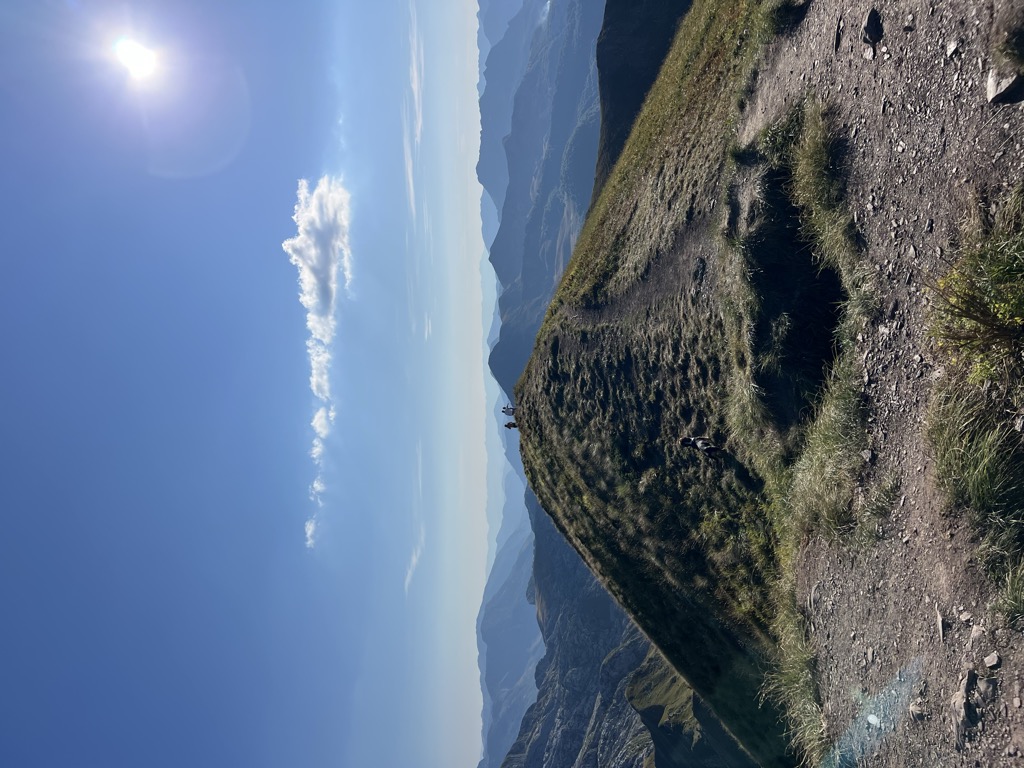 Talijanka/Maja e Vajushës