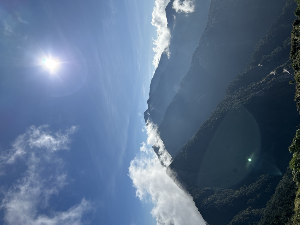 向生平