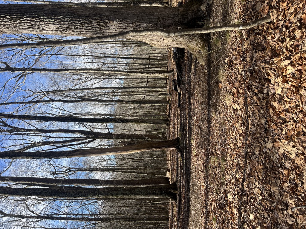 Whistling Gap