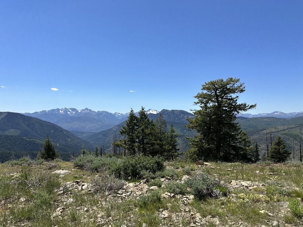 Sweetgrass Butte