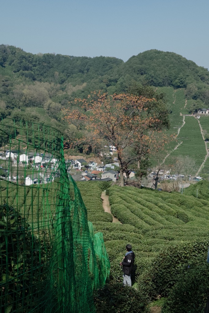 李想