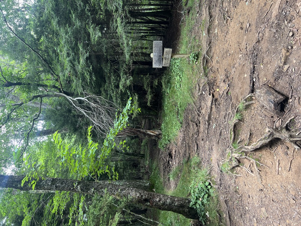 Trillium Gap