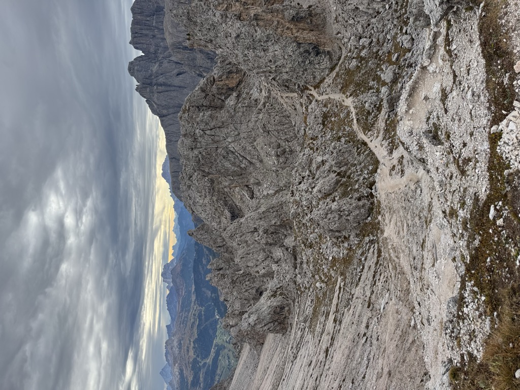 Furcela de Cir