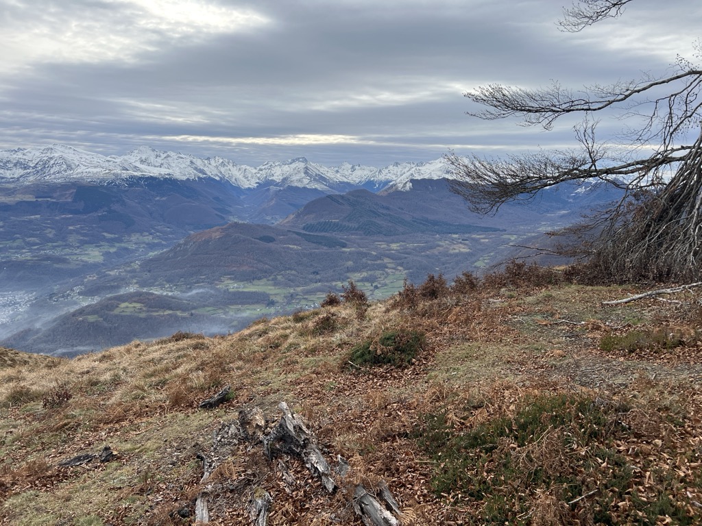 Pène de Souquète