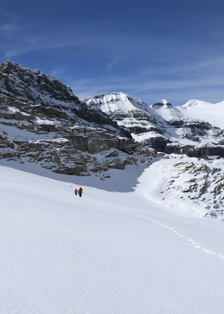 Daubenhorn