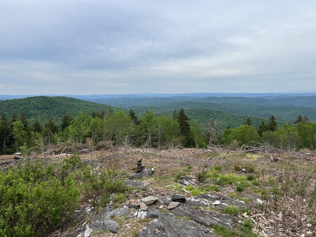 The Lookout