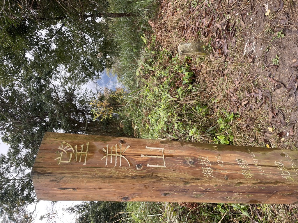 顏慧淑