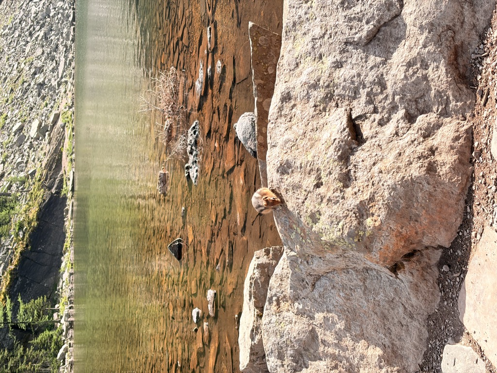 Mirror Lake