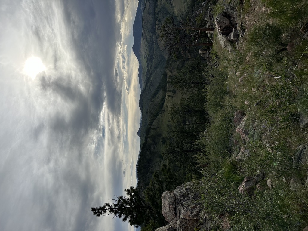 Mount Galbraith