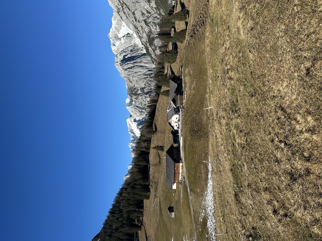 Walder Alm