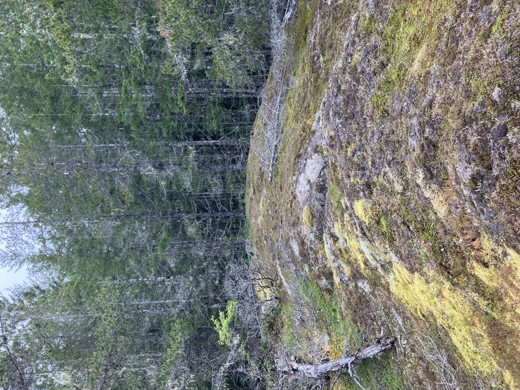 Homer Hill
