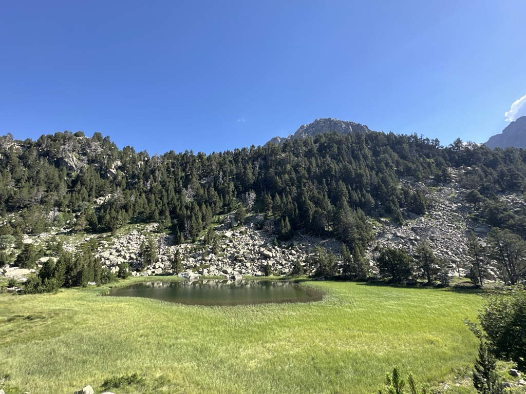 Estany de la Bassa