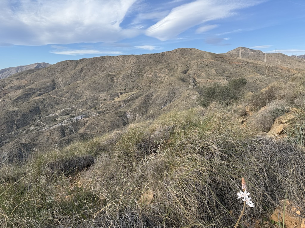 Cerro del Marqués