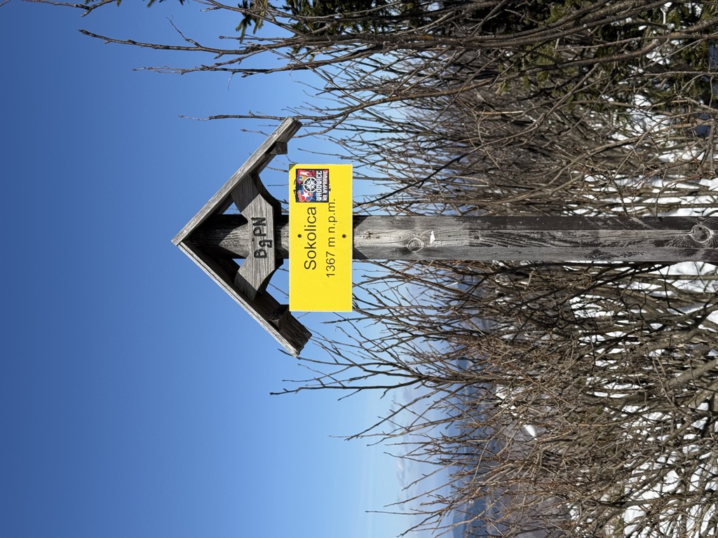 Sokolica
