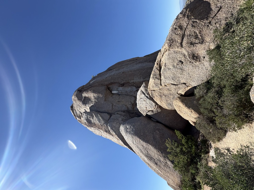 Tom's Thumb