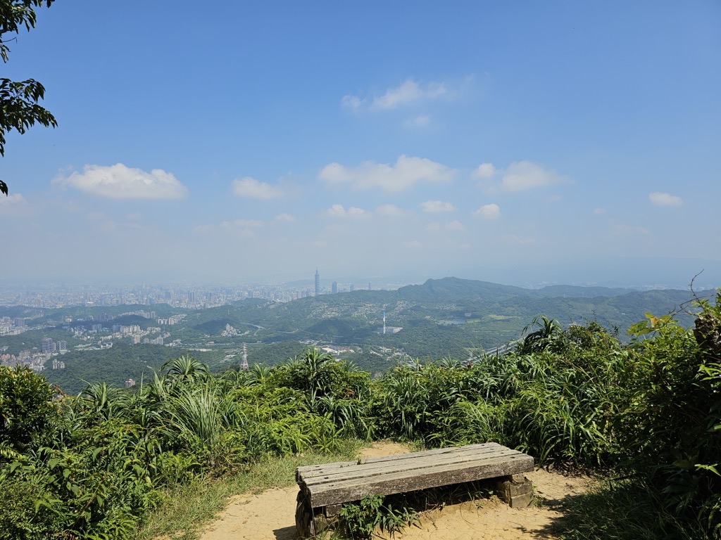 玫宏 林