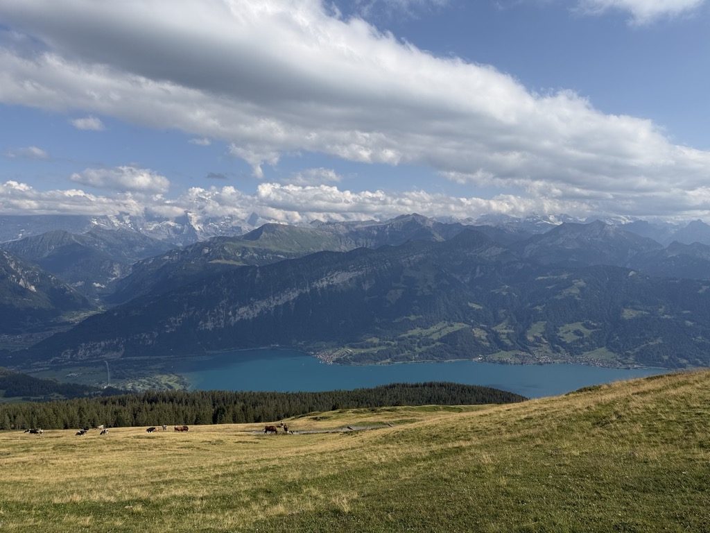 Niederhorn