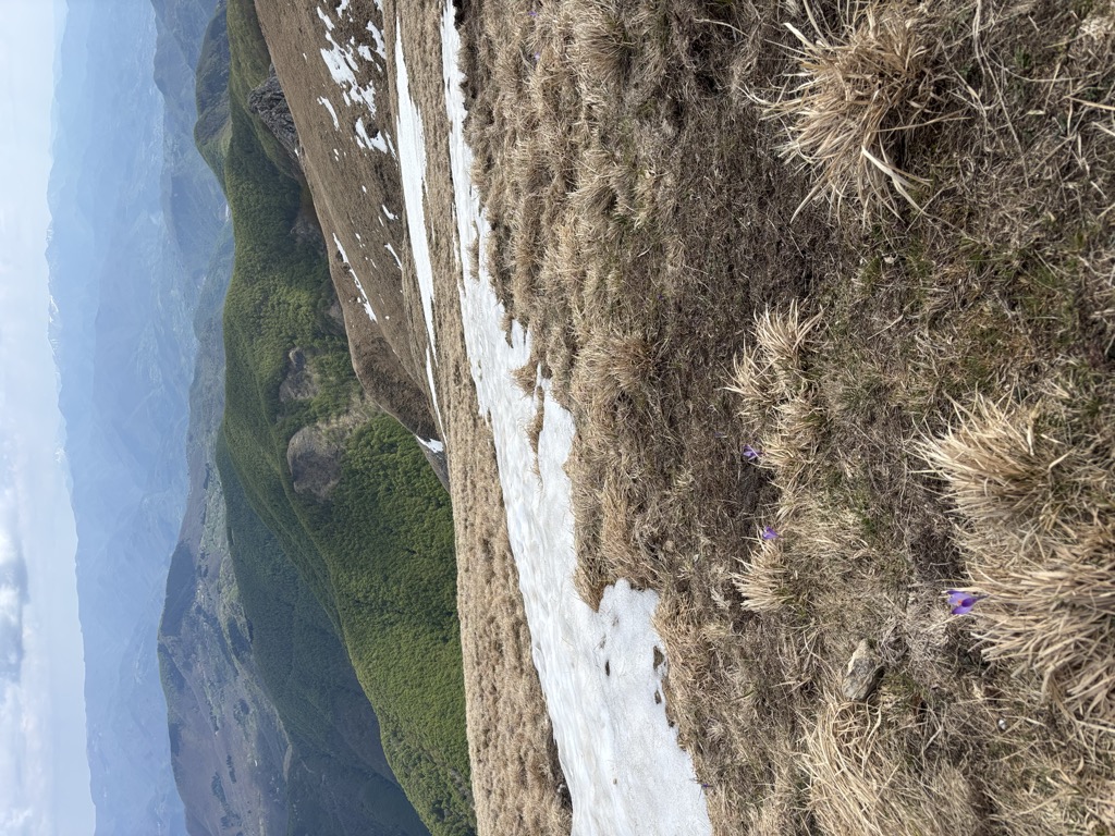 Monte Sumbra