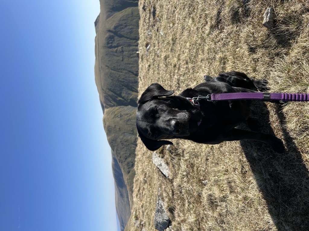 Gray Crag