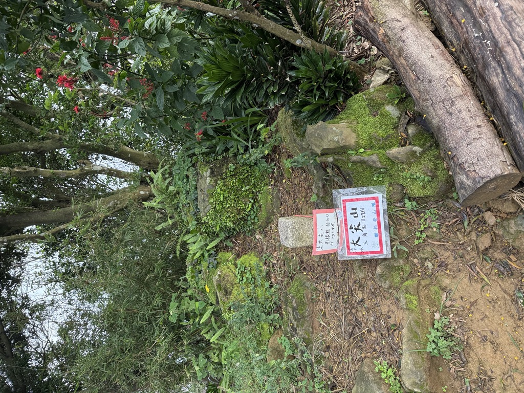 翁詠潔
