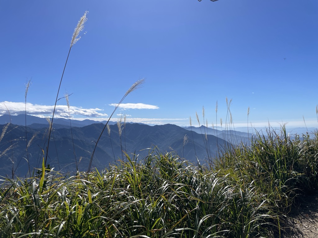 厲家珍