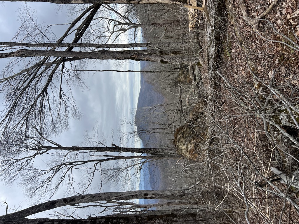 Piney Bald