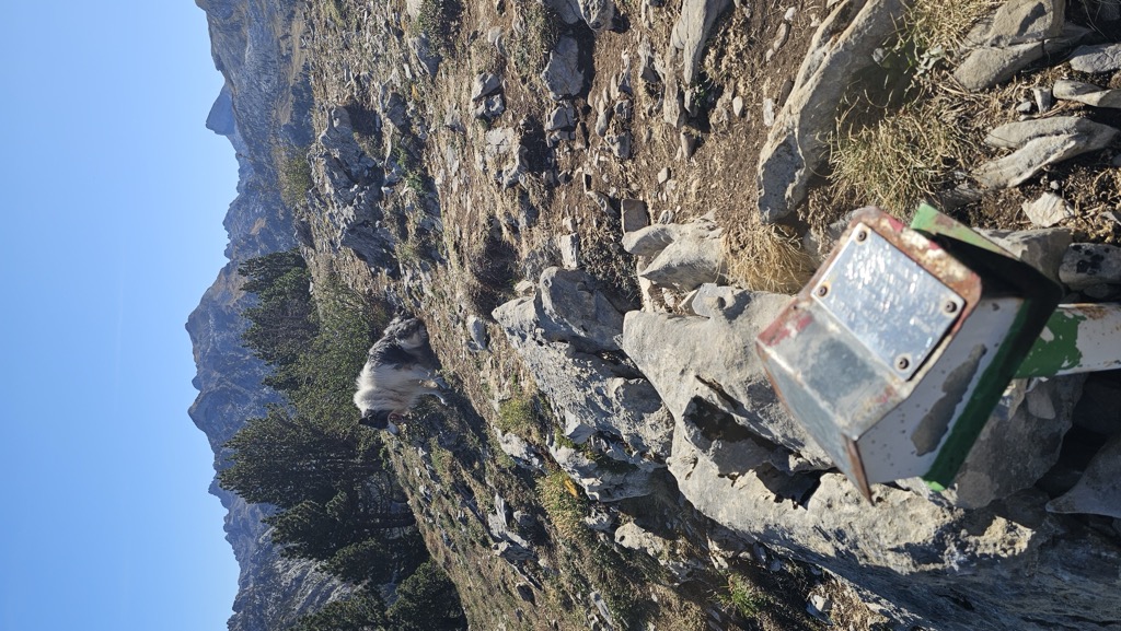 Alto de Lapazarra