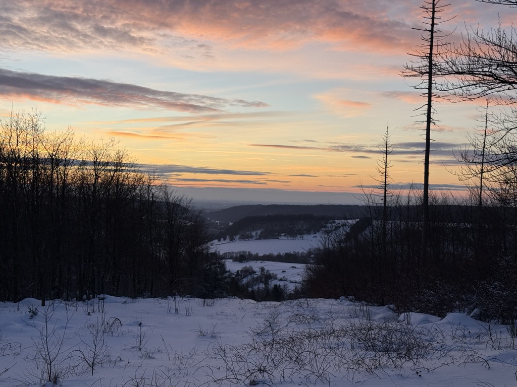 Rehberg