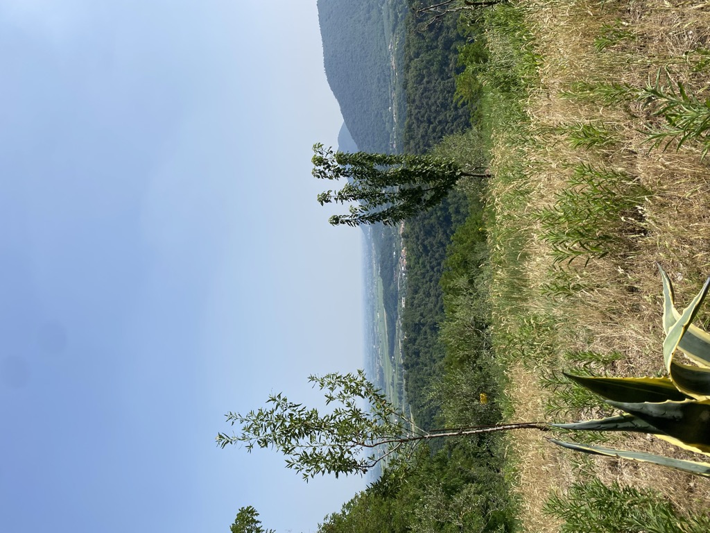Monte delle Basse