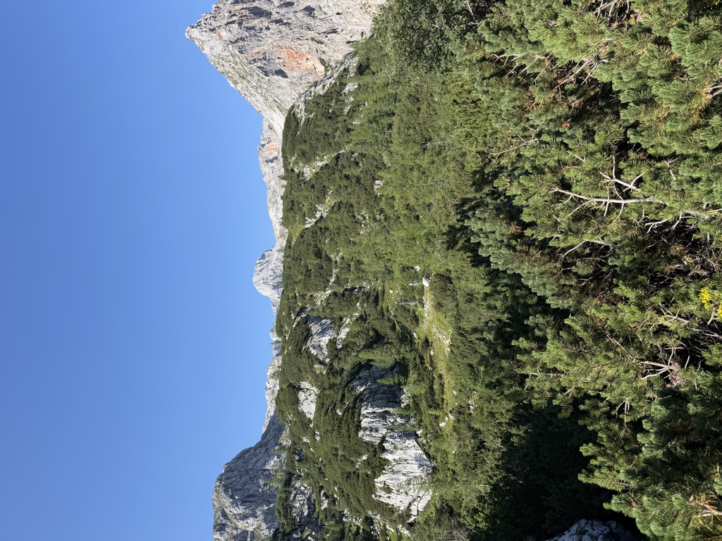 Trischübel