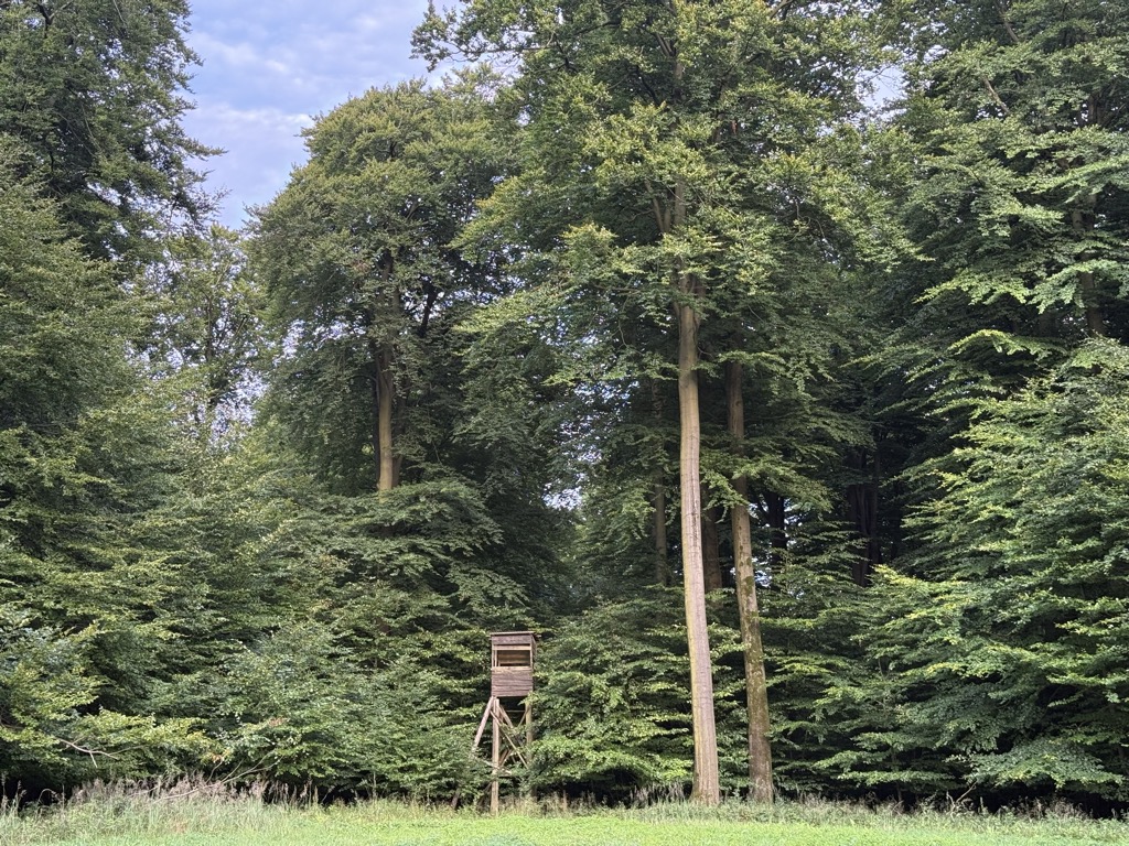 Neuwaldsberg