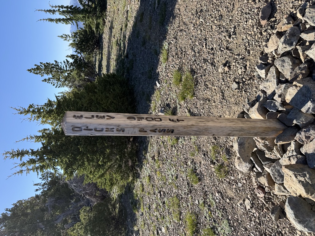 Dicks Pass