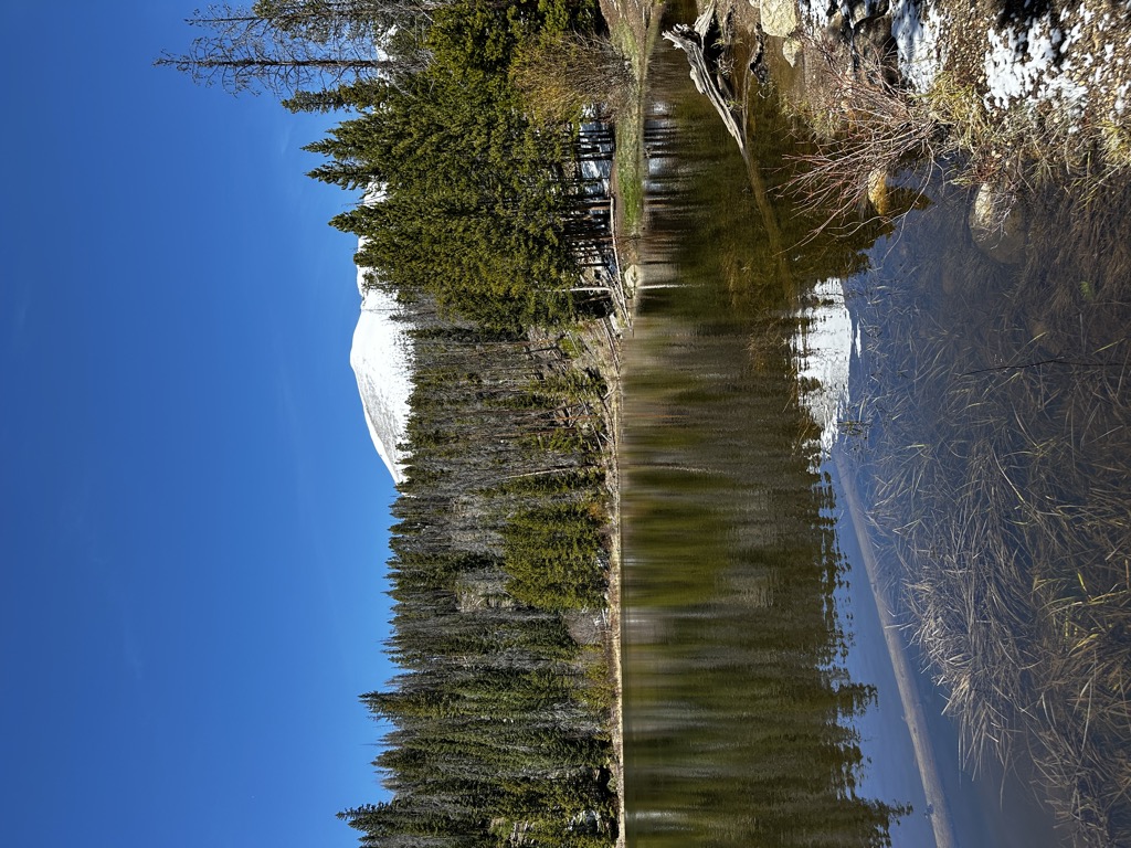 Lily Pad Lake