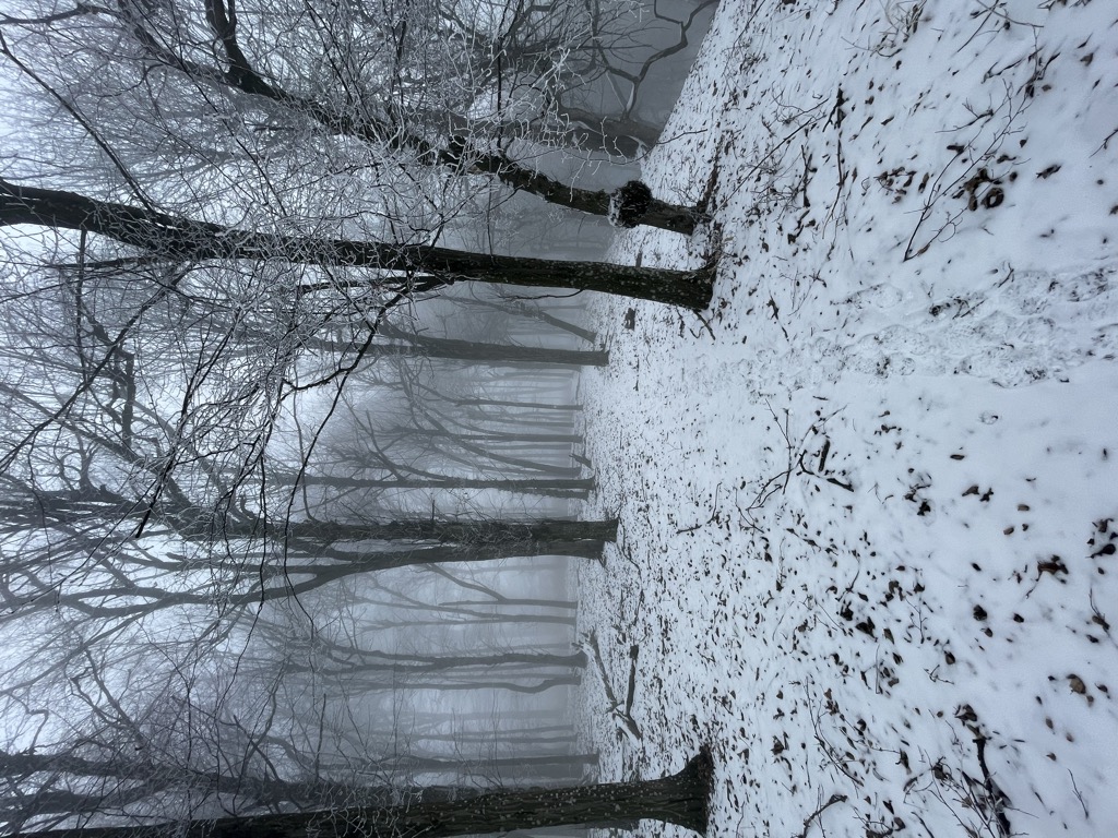 Jász-bükk