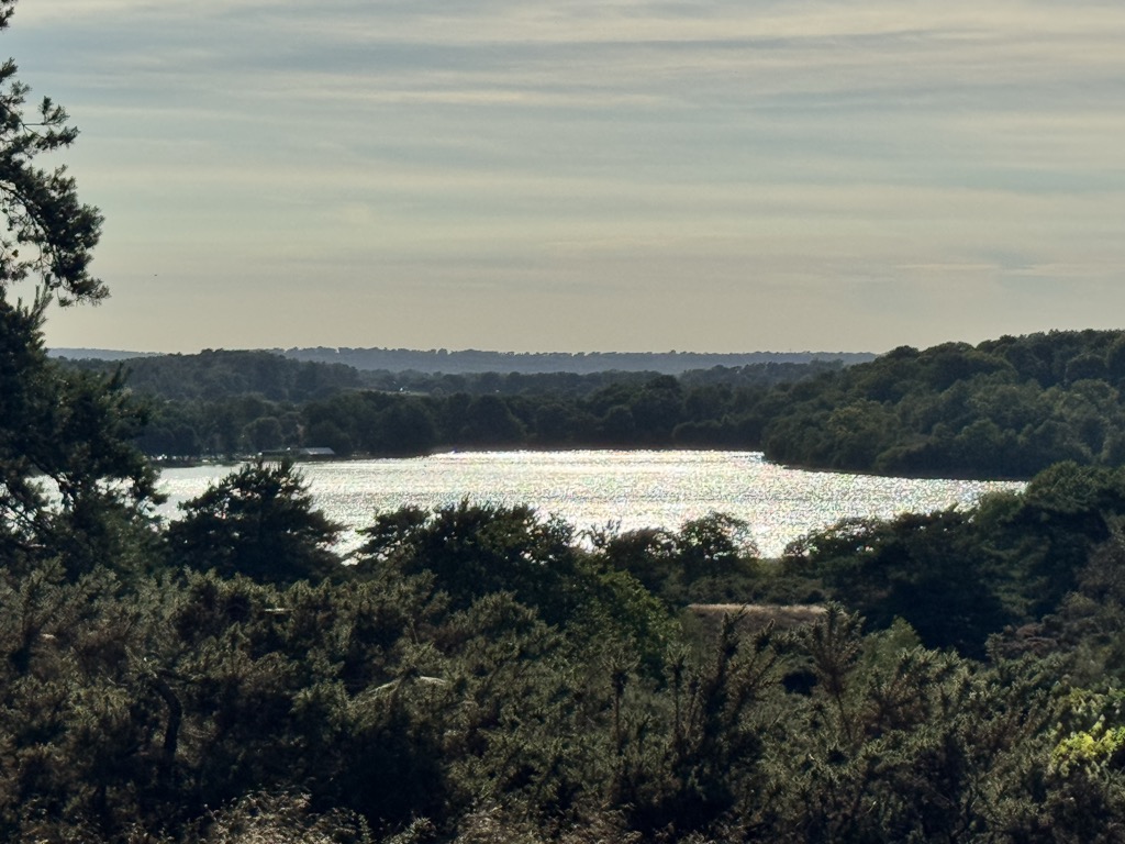 The King's Ridge