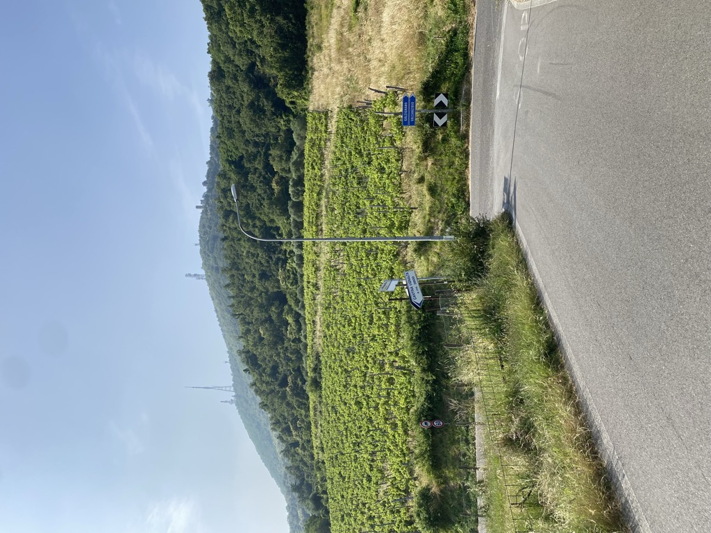 Passo Roverello