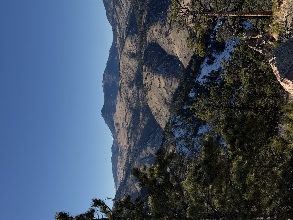 Mount Galbraith